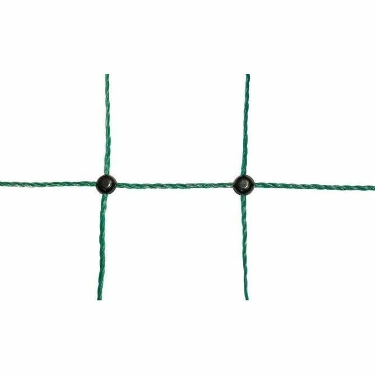 S71003557_1