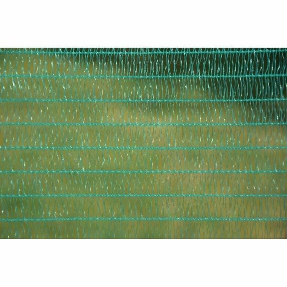 S71006979_4